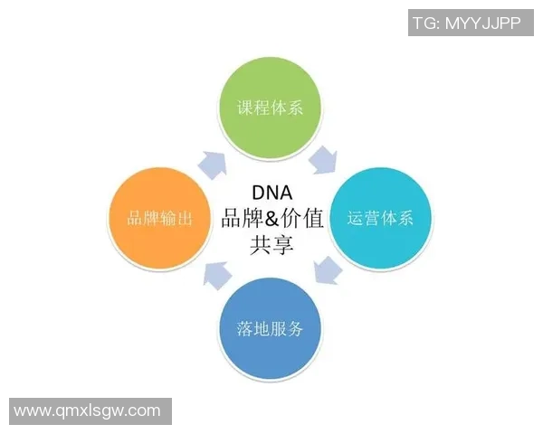 广州足球队的战术创新与运营体系解析探讨